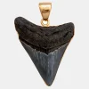 Alchemia Fossil Shark Tooth Pendant