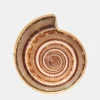 Alchemia Sundial Shell Adjustable Ring