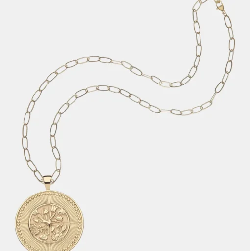 Big Hope Pendant Coin
