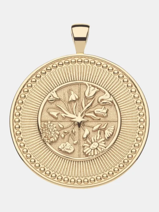 Big Hope Pendant Coin