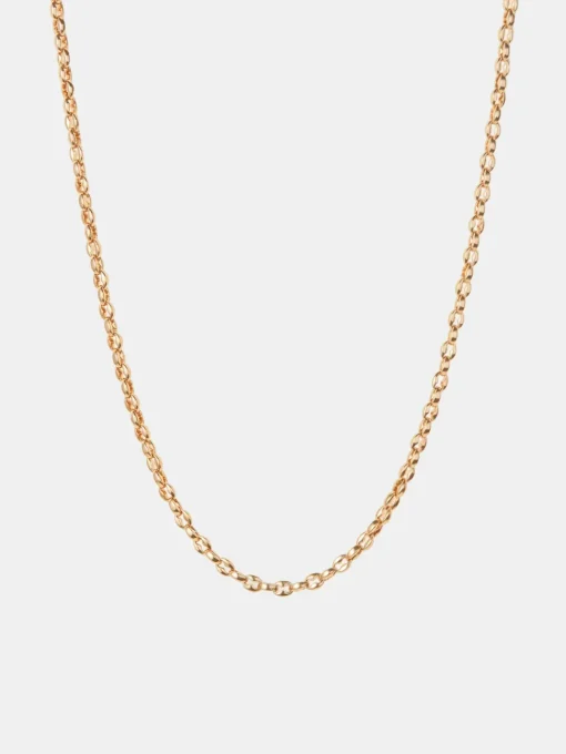 Dhani Chain