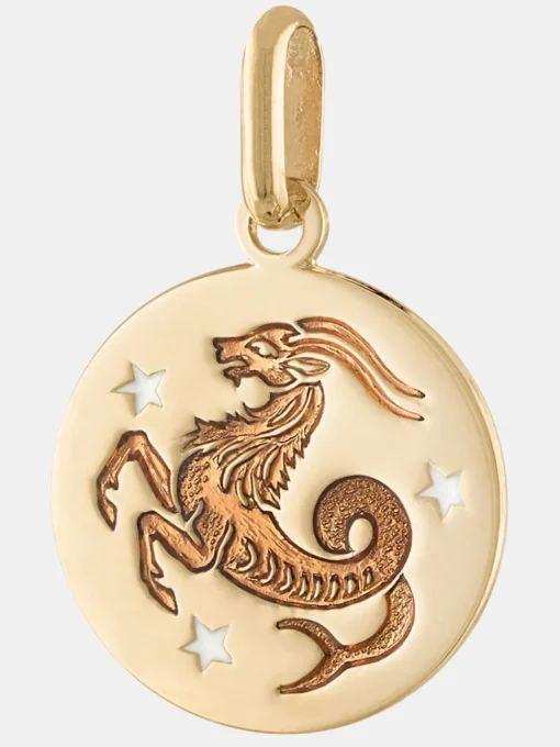 14k Zodiac Pendant