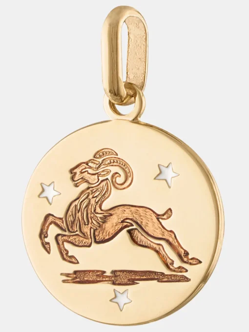 14k Zodiac Pendant