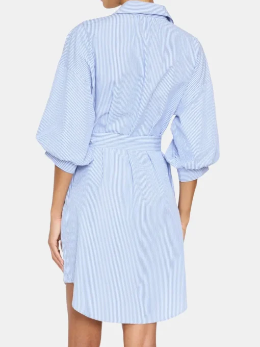Kate Belted Dress