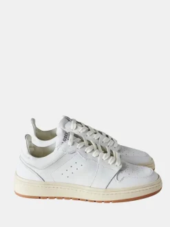 Low Top Sneaker