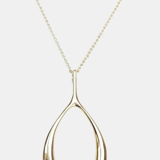 Lucky Gold Wishbone Necklace