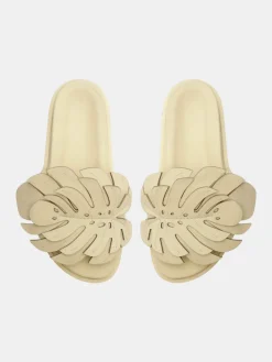 Monstera Slide