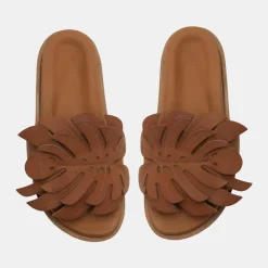 Monstera Slide