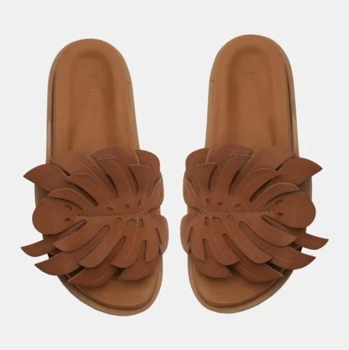 Monstera Slide