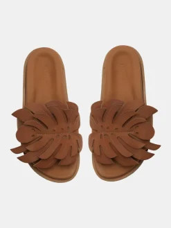 Monstera Slide