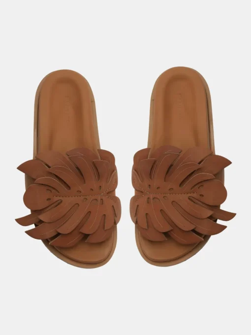 Monstera Slide