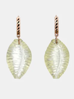 Postulata Shark Fin Hoops