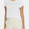 Remy Tee