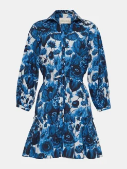 Robin Dress