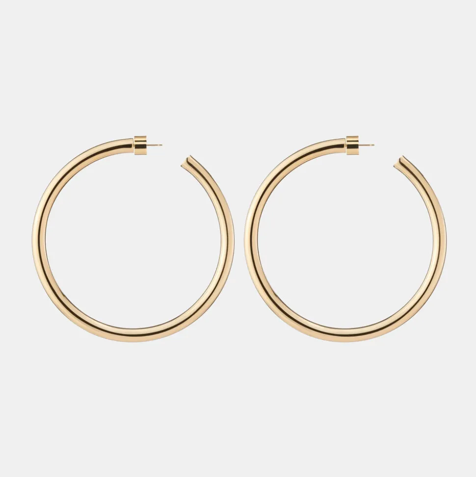 2" Natasha Hoops